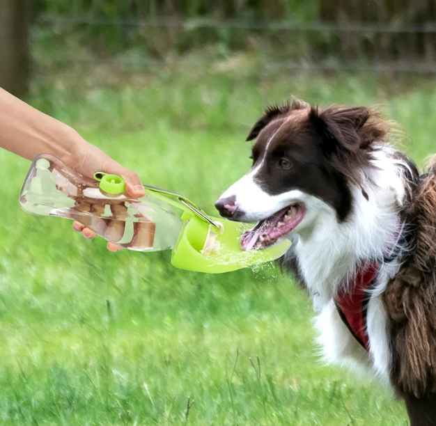 Pet Portable Flip Cup Water Bottle
